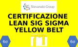 logo_yellow-belt